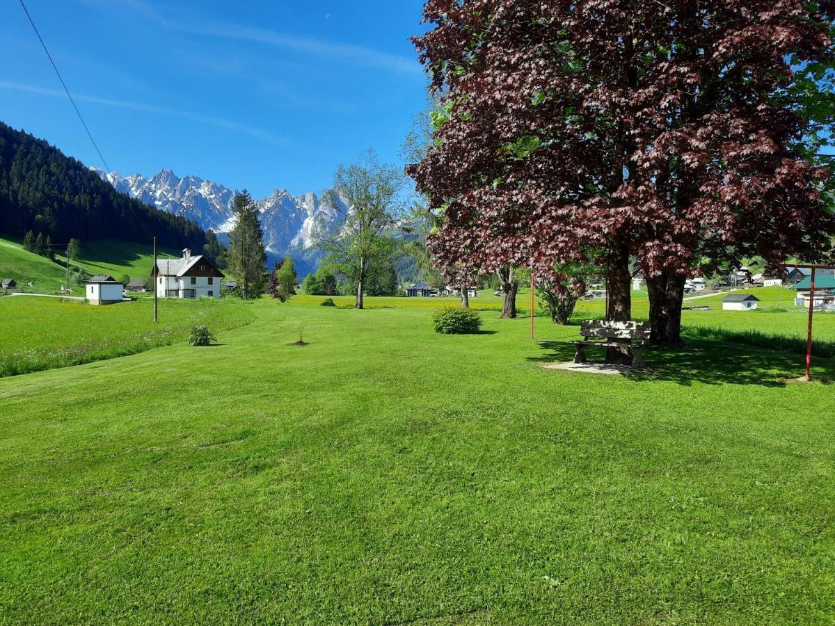 Haus Gruenwald Apartment Gosau Exterior photo