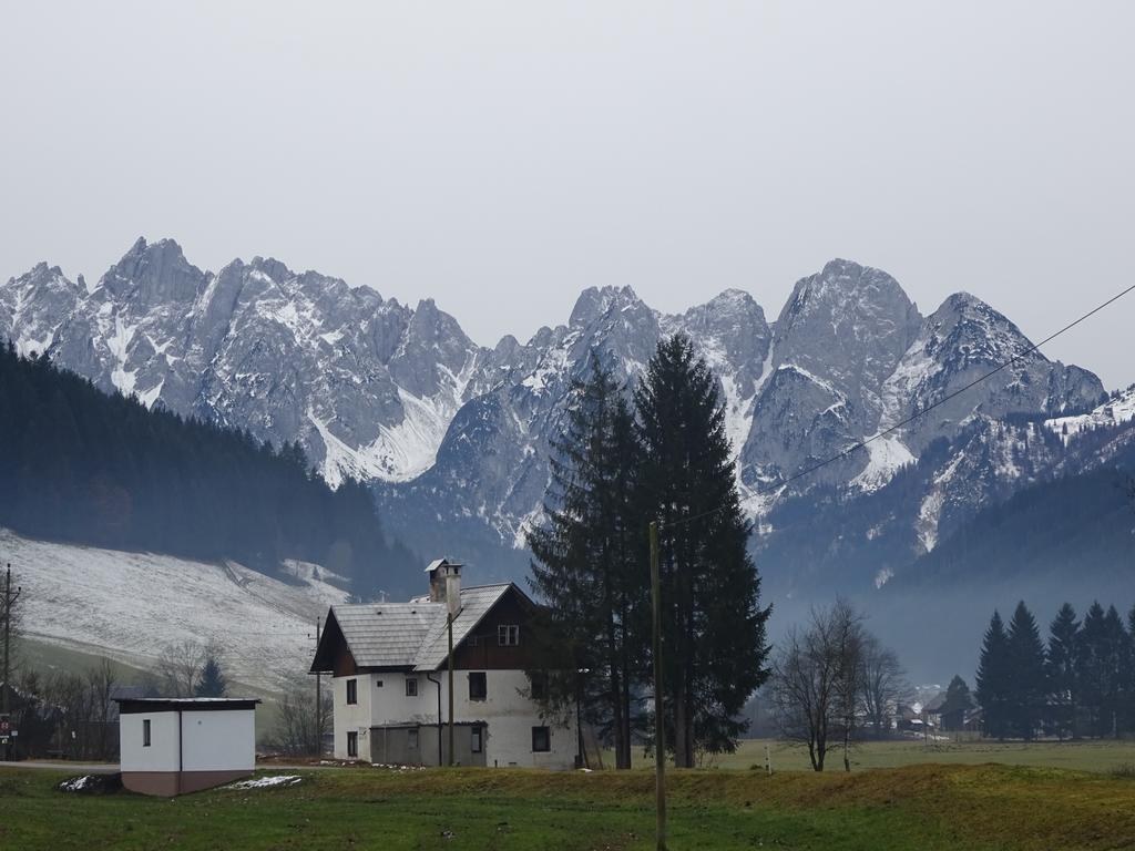 Haus Gruenwald Apartment Gosau Exterior photo