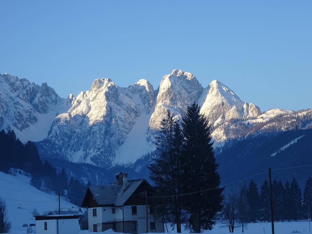 Haus Gruenwald Apartment Gosau Exterior photo