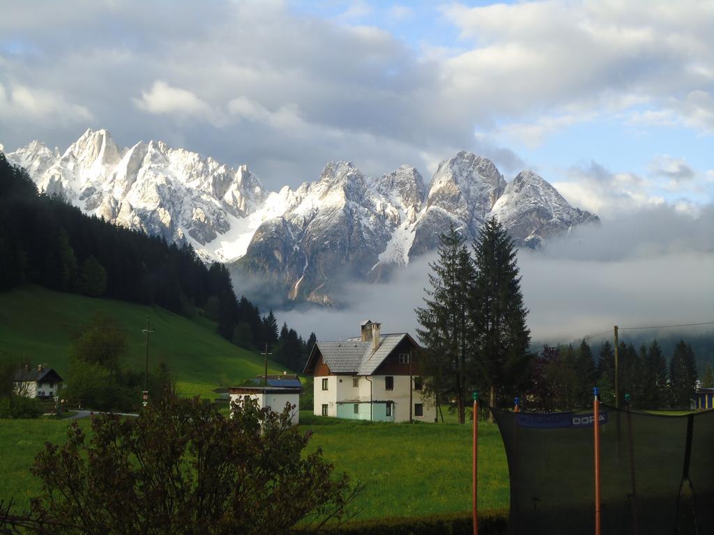 Haus Gruenwald Apartment Gosau Exterior photo